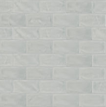 Load image into Gallery viewer, 3x6 Astoria Light Grey Ceramic Glossy Tile
