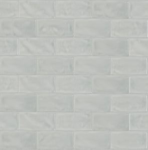 3x6 Astoria Light Grey Ceramic Glossy Tile