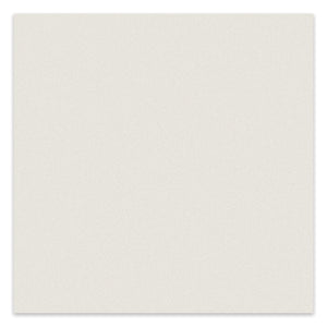 12x12 Kolortek Warm White Porcelain Matte Tile