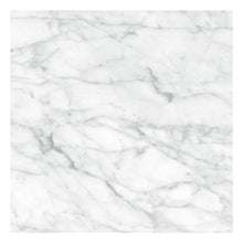 Load image into Gallery viewer, 24x24 Caskata Carrara Matte Rectified Glazed Porcelain Tile
