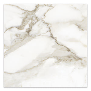 24x24 Antonella Roma Calacatta Porcelain Honed Tile