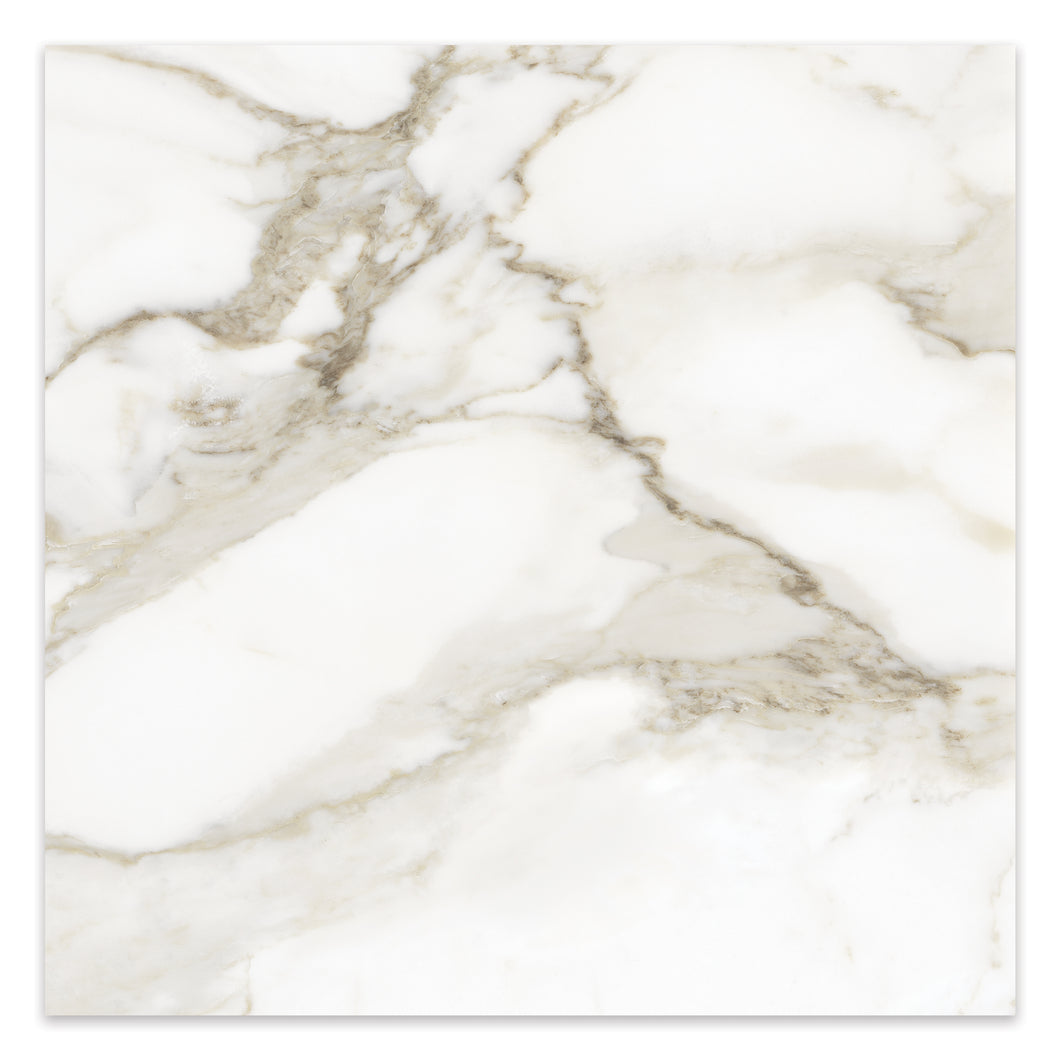 24x24 Antonella Roma Calacatta Porcelain Honed Tile