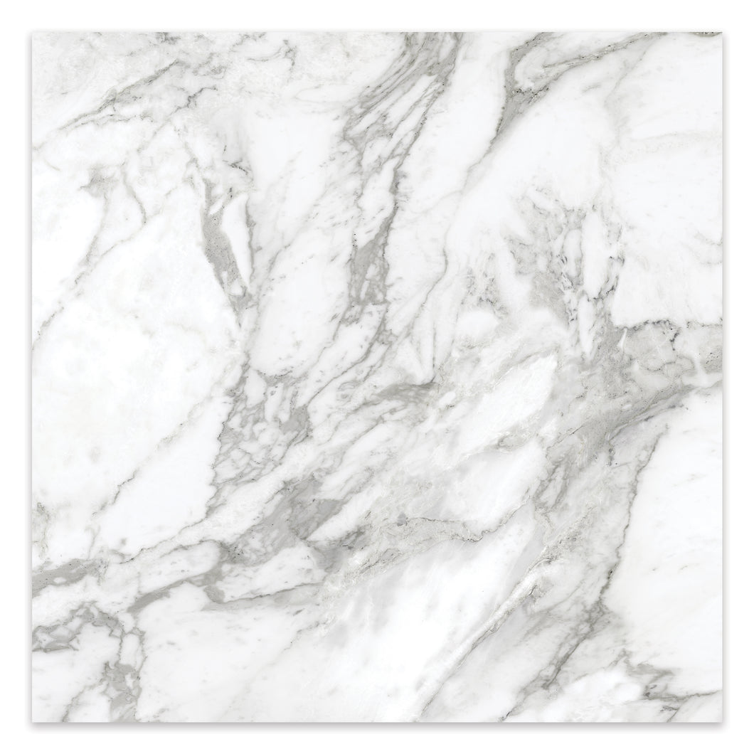 24x24 Antonella Southern White Porcelain Honed Tile