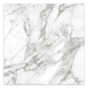 24x24 Antonella Southern White Porcelain Polished Tile