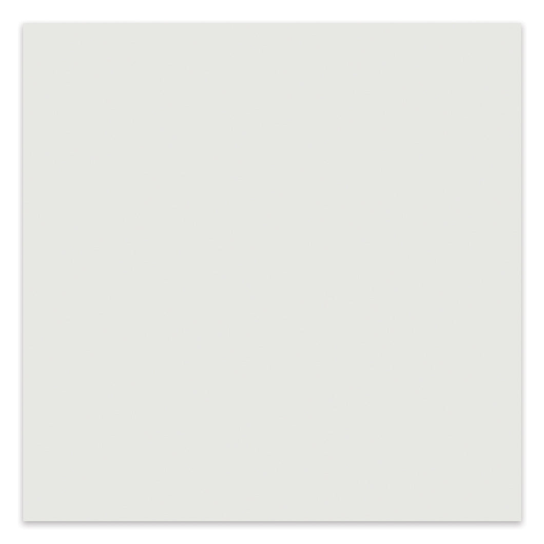 24x24 Kolortek White Matte Recti-