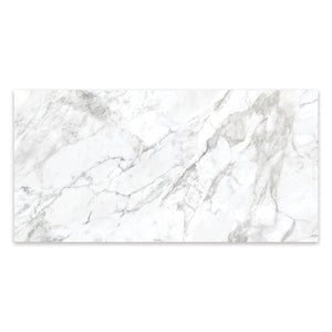 24x48 Antonella Southern White Porcelain Polished Tile