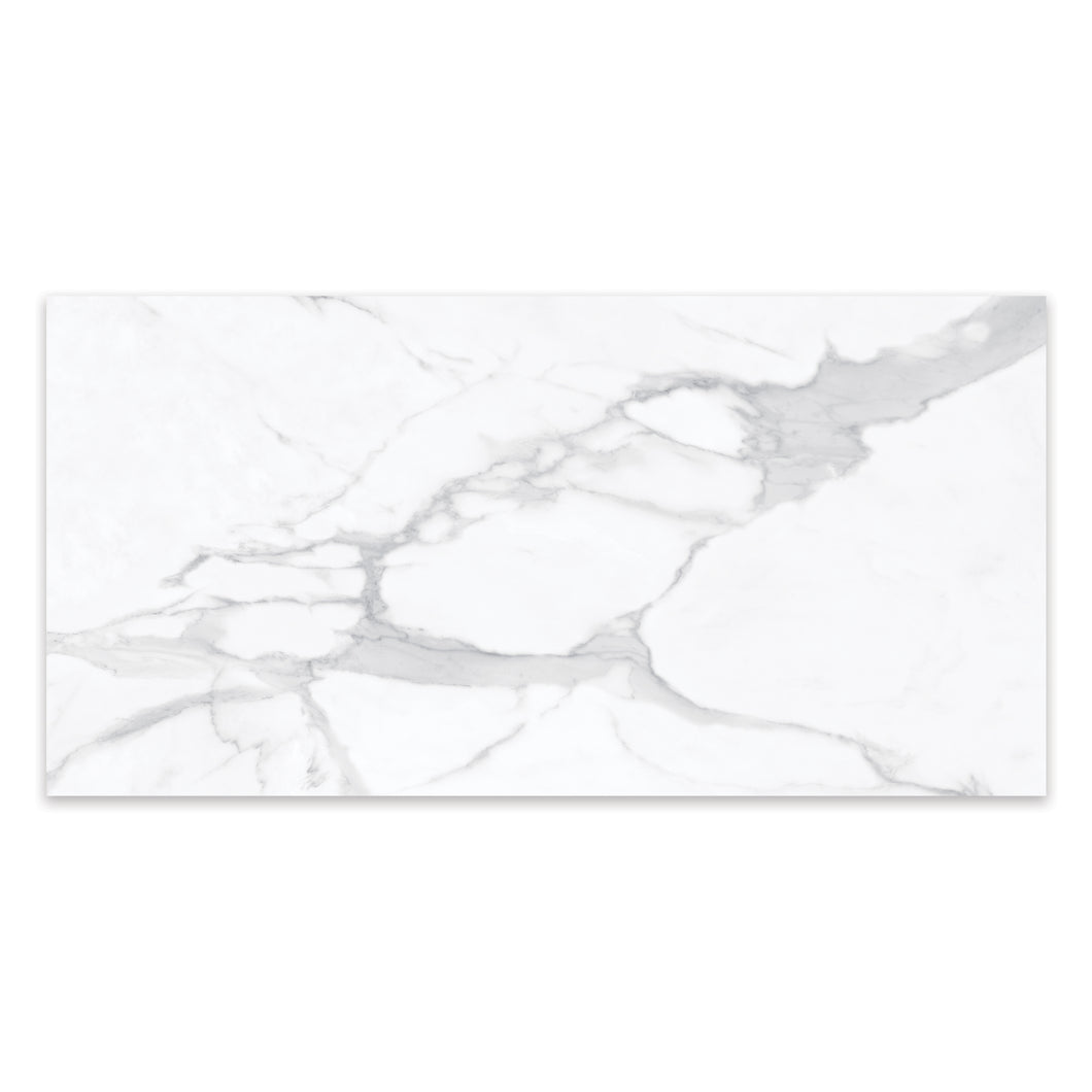 24x48 Antonella Modern Statuario Porcelain Honed Tile