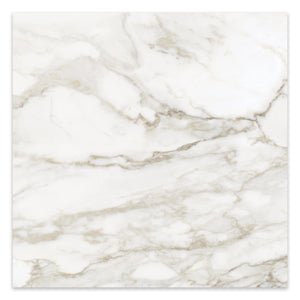 32x32 Antonella Roma Calacatta Porcelain Honed Tile