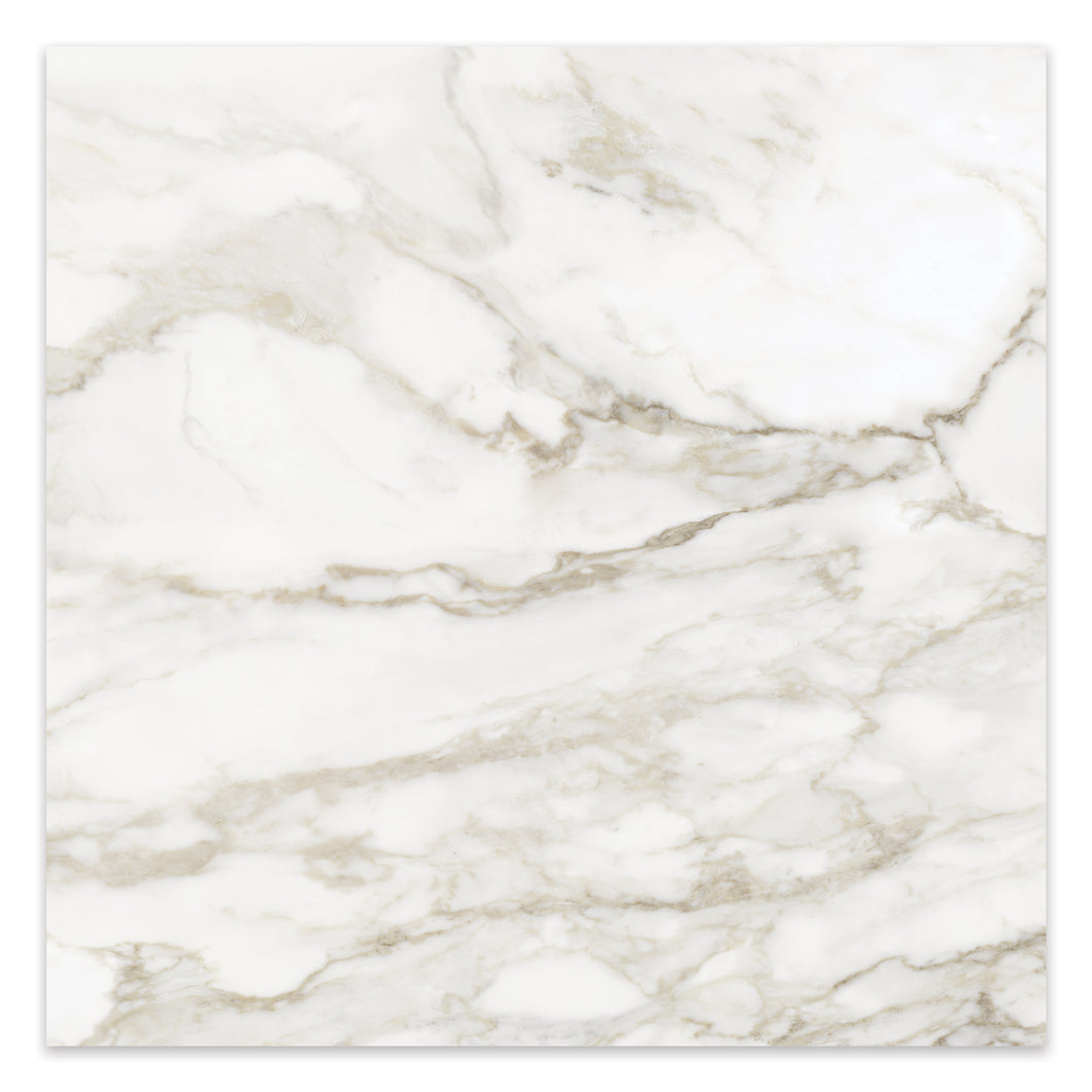 32x32 Antonella Roma Calacatta Porcelain Honed Tile